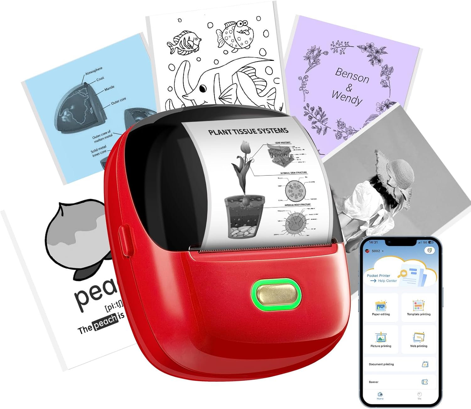 ORGSTA S002 Sticker Printer – Mini Printer Portable Thermal ...
