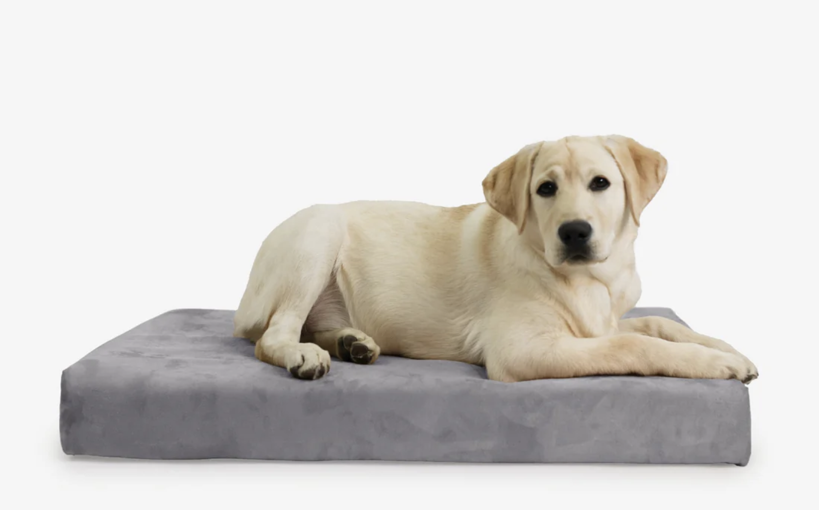 Joccik Dog Bed Cover
