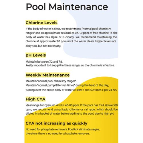Pool Rx  Black/White 6-Month Swimming Pool Mineral Algicide, 1 Tablet Treats 20k-30k Gallons of water
