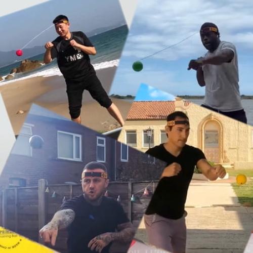 YMX BOXING® Ultimate Reflex Ball Set with Counter App - Great for Reflex, Timing, Accuracy, Focus & Coordination Training for Boxing, MMA and Krav Mega