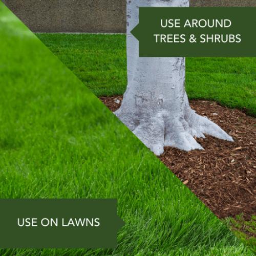 Size 1.5Lbs BioAdvanced Fire Ant Killer Dust Insecticide, Kills The Queen & Destroys The Mound, 1.5-Pounds