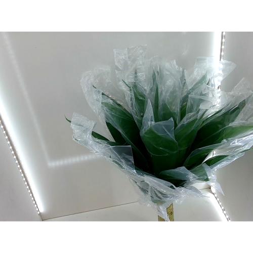 velener outdoor Other Accessories 22 INCHES SET OF Home Accessory