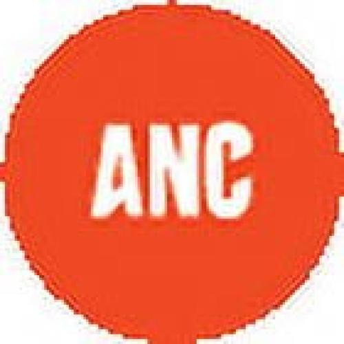 JBL Tune Buds Ghost Edition Noise Cancelling Wireless In-Ear Earbuds, White Ghost