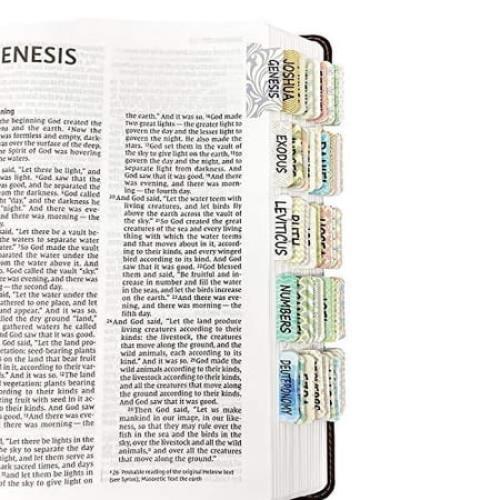 Mr. Pen- Bible Tabs, 75 Tabs, Laminated, Bible Journaling Supplies, Bible Tabs Old and New Testament, Bible Tabs for Women, Bible Tabs for Journaling Bible, Bible Book Tabs â€¦