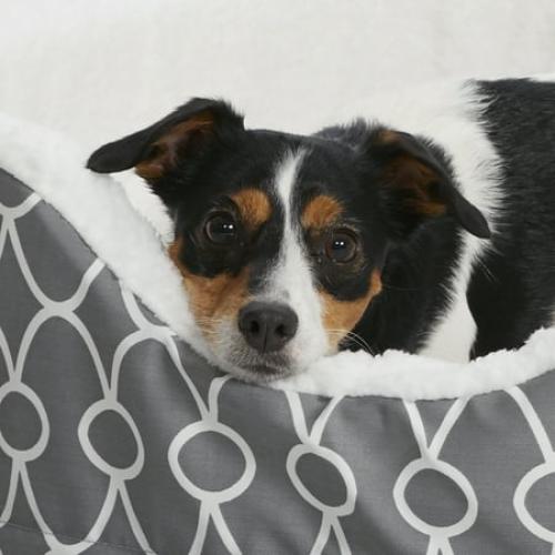 MIDWEST QT GRAY TFLN NEST PET BED 29IN