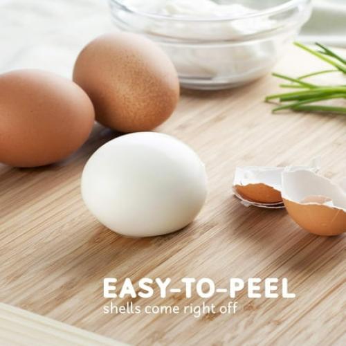 Elite Gourmet Easy Egg Cooker, Charcoal Grey