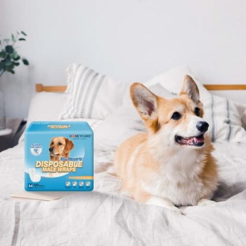 Honey Care All-Absorb A26 Male Dog Wrap, 50 Count, Small，Super Absorbent, Breathable, Wetness Indicator