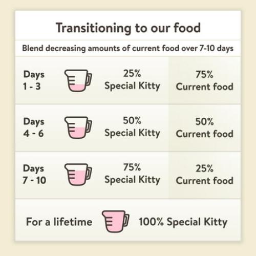 Special Kitty Turkey & Giblets Dinner Pate Wet Cat Food, 22 oz Can