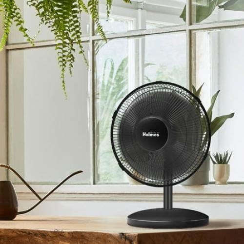 Holmes 12 Table Fan