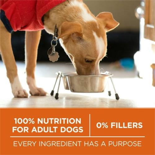 Purina One  Plus Dry Dog Food High Protein Healthy Weight, Real Turkey 40 lb Bag