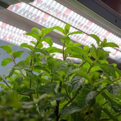BoostGro 3FT LED Grow Light Full Spectrum with Enriched Red Light Linkable Design for Indoor Plants and Gardening (4-pack)