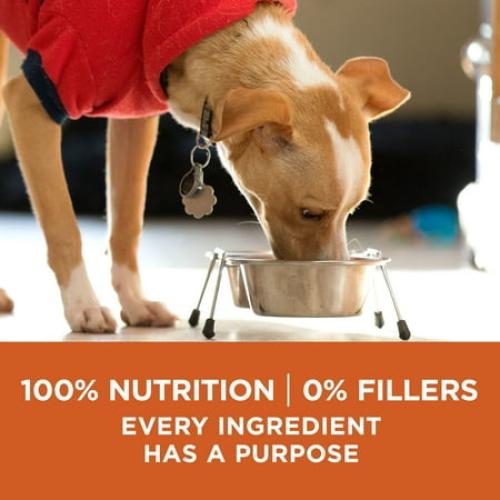 Purina One  Plus Dry Dog Food High Protein Healthy Weight, Real Turkey 40 lb Bag