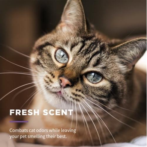 Wet Ones Multipurpose Wipe for Cats - 50 ct Canister