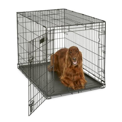 MidWest Homes for Pets Newly Enhanced Single Door iCrate Dog Crate 42 inch