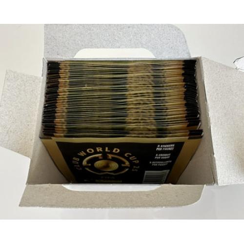 Panini 2025 FIFA Club World Cup Sticker Box With 250 Stickers