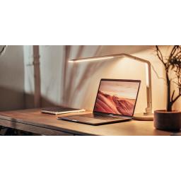 7 Best Online Auction Marketplaces for Deals