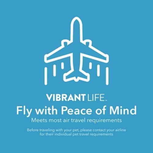 Vibrant Life Pet Kennel Small/Medium 26 Dog Crate, Plastic Travel Pet Carrier for Pets 15-25 lb, Grey