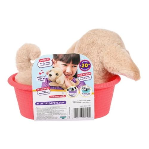Little Live Pets My Really Real Puppy Minis Buddy the Retriever Interactive Puppy with 20  Sounds & Reactions Ages 5
