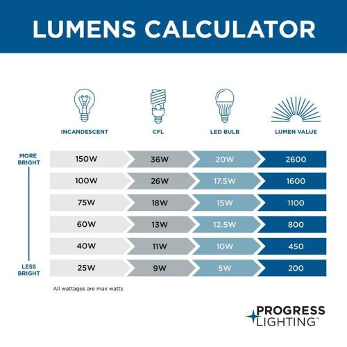Progress Lighting Inspire Collection 13 in. 2-Light Antique Bronze Kitchen Transitional Ceiling Light Drum Flush Mount