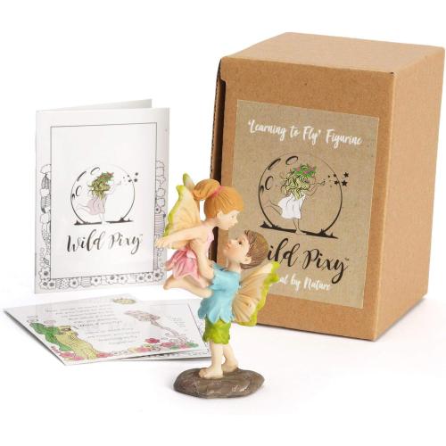 WILD PIXY Miniature Fairy Figurine - Fairy Garden Fairies with an Inspiration Theme, Includes A Fairy Poem and Gift Box, Gorgeous Miniature Garden Decoration for Indoor or Outdoor Fairy Gardens