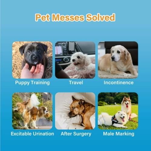 Honey Care All-Absorb A26 Male Dog Wrap, 50 Count, Small，Super Absorbent, Breathable, Wetness Indicator