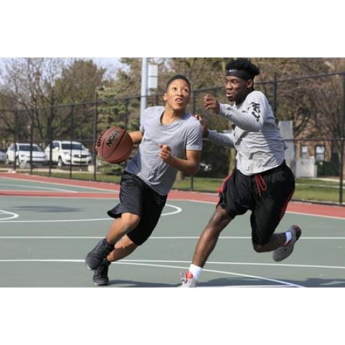 Wilson NCAA Final Four Edition Basketball, Official Size - 29.5