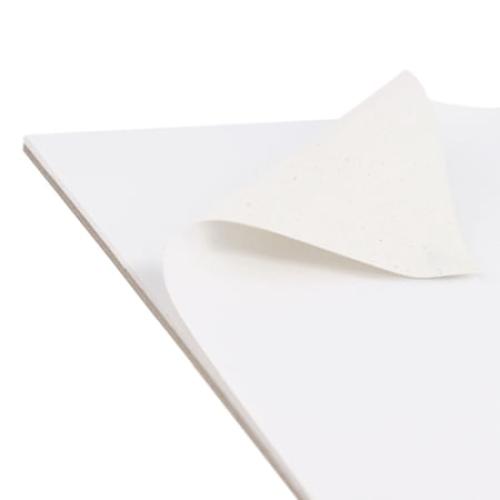 U.S. Art Supply 16 x 20 10-Sheet 8-Ounce Triple Primed Acid-Free Canvas Paper Pad (Pack of 2 Pads)