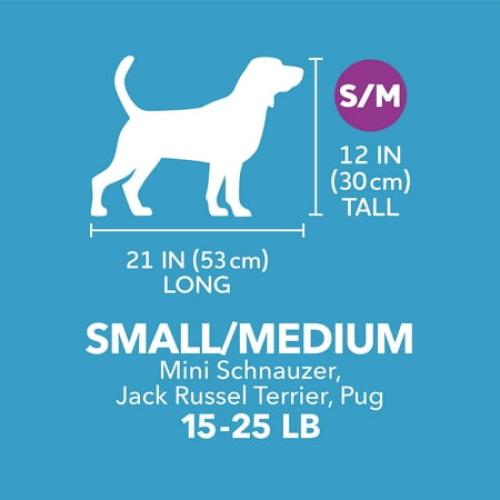 Vibrant Life Pet Kennel Small/Medium 26 Dog Crate, Plastic Travel Pet Carrier for Pets 15-25 lb, Grey