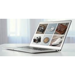 8 Best Auction Sites for Collectibles (A Review)