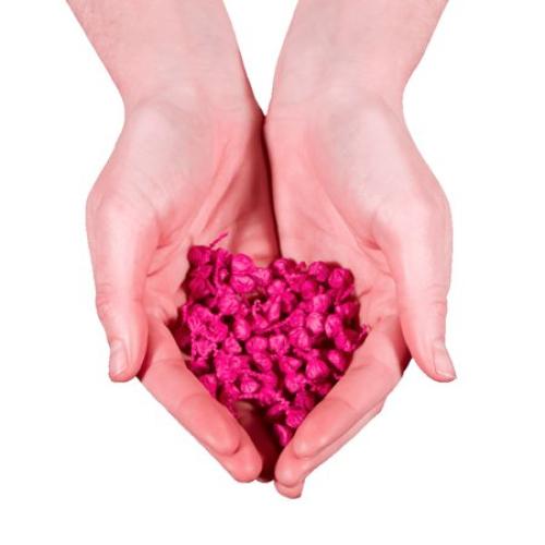 Set of 12 TNT Fireworks, Exploding Hearts 12 Pack Snaps