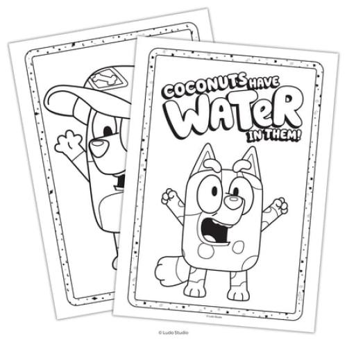 Bluey 48-Page Coloring and Activity Book with Crayons, by Bendon