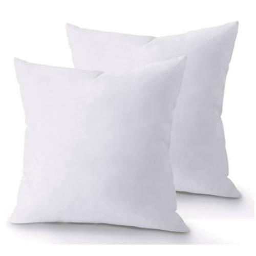 Pack of 2 Size 18x18 Color White THROW PILLOW, SOFA PILLOW, OUT DOOR PILLOW, COUCH PILLOW, BEDDING PILLOW Inserts (Set of 2, White), 18x18 Inches - Lightweight Fillers for Sofa, Bed, and Home Décor (18x18 Inch (Pack of 2)