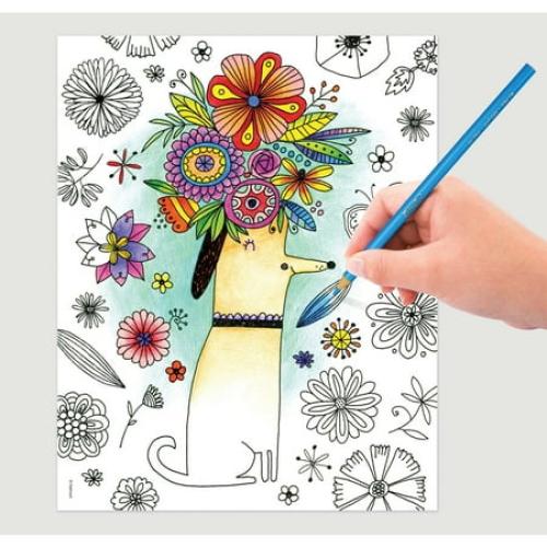 Crayola Adult Colored Pencils, 50 Count