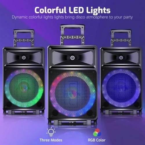 Karaoke Machine with 2 Wireless Microphones, Bluetooth Speaker, Portable PA System - Karaoke, FM Radio, 12 Woofer Included for Party