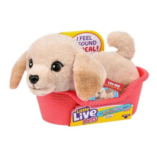 Little Live Pets My Really Real Puppy Minis Buddy the Retriever Interactive Puppy with 20  Sounds & Reactions Ages 5