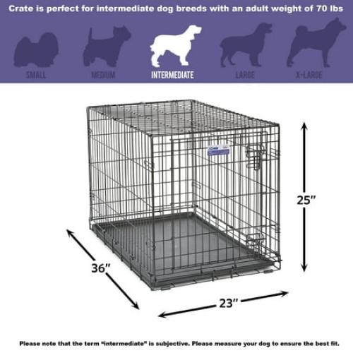 MidWest Homes for Pets Newly Enhanced Single Door iCrate Dog Crate, Includes Leak-Proof Pan, Floor Protecting Feet, Divider Panel & New Patented, 36 Inch