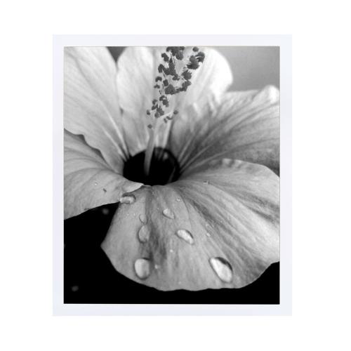 BOJIN 14x17 Picture Frames White Solid Wood Without Mat Display Poster Wall Hanging Home Decoration Photo Frame