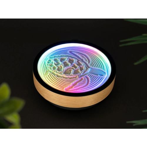 Oasis Mini Kinetic Art Canvas Zen Garden Desk Art NEW SEALED iOS Android