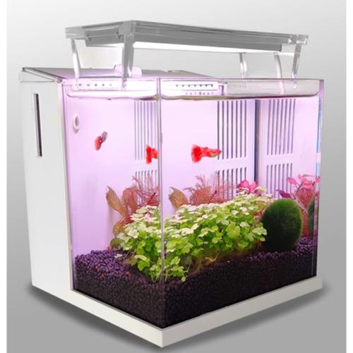 QANVEE Mini Fish Tank Nano Aquarium Plants Tank for Home and Store Office Desk with Pro LED and Back-Filter 0.8-Gallon