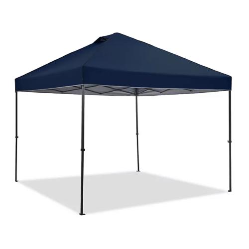 Members Mark 10x10 Canopy