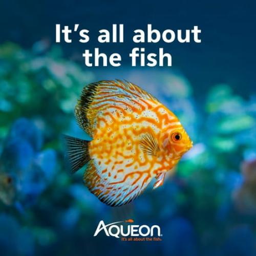 Aqueon AquaPacs Ammonia Reducer 12-pack