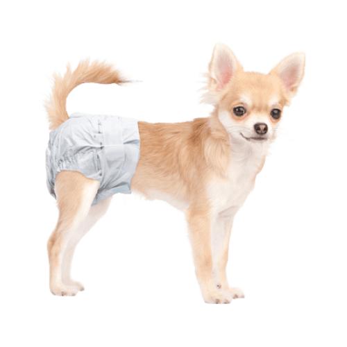 Paw Inspired Female Dog Diapers Disposable | Doggie Puppy Pet Cat Diapers | Diapers for Females Dogs in Heat, Female Dog Pampers | Dog Incontinence, Senior Dogs, Potty Training (X-Small)