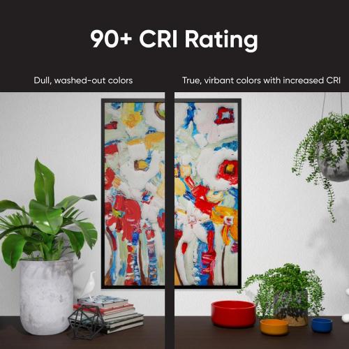 75-Watt Equivalent A19 Smart LED Color Light Bulb With 16 Million Colors and App Control (2-Pack)