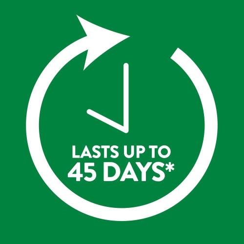 0.67 Pine and Juniper Automatic Air Freshener Scented Oil Plug-In Refill (5-Refills)