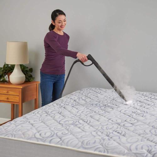 Wagner 925e Multi-Purpose Elite On-Demand Corded Steam Cleaner