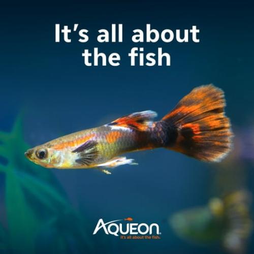 Aqueon SmartClean Power Filter with EcoRenew Filter Cartridge 20-30 Gallon