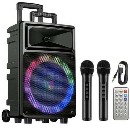 Karaoke Machine with 2 Wireless Microphones, Bluetooth Speaker, Portable PA System - Karaoke, FM Radio, 12 Woofer Included for Party