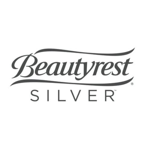 Beautyrest Extraordinaire 18 Queen Air Mattress with Built-in Pump