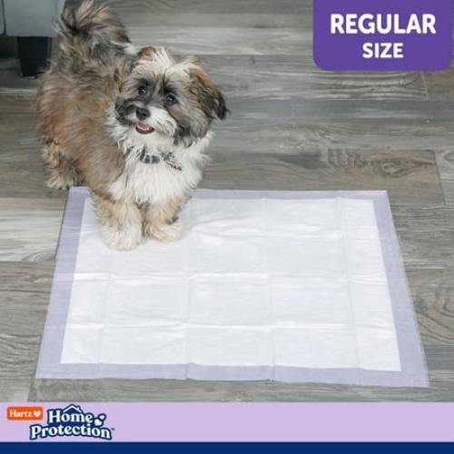 Hartz Home Protection Lavender Scent Odor-Eliminating Dog Pads, Regular Size, 21 in x 21 in, 50ct