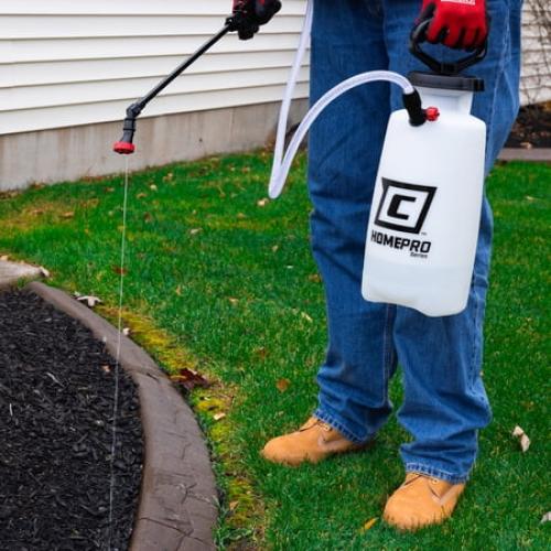 Chapin Homepro 28002 2-Gallon Hand Pump Sprayer